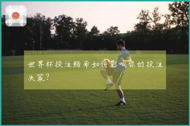世界杯投注赔率如何影响你的投注决策？