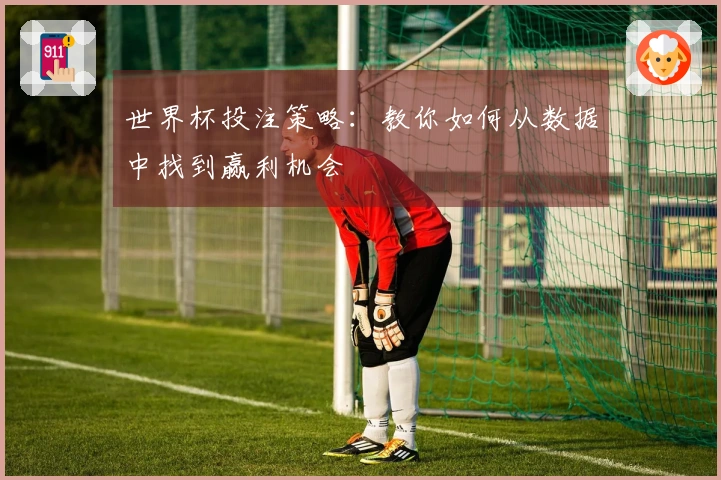 世界杯投注策略：教你如何从数据中找到赢利机会