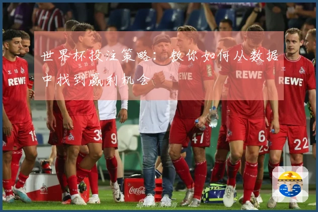 世界杯投注策略：教你如何从数据中找到赢利机会